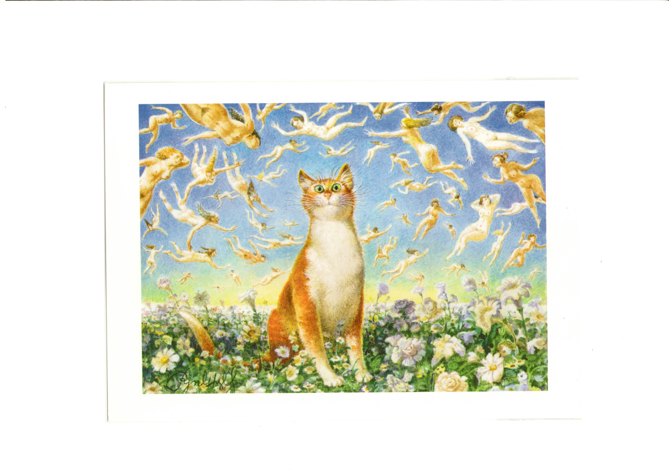 коты румянцева фото